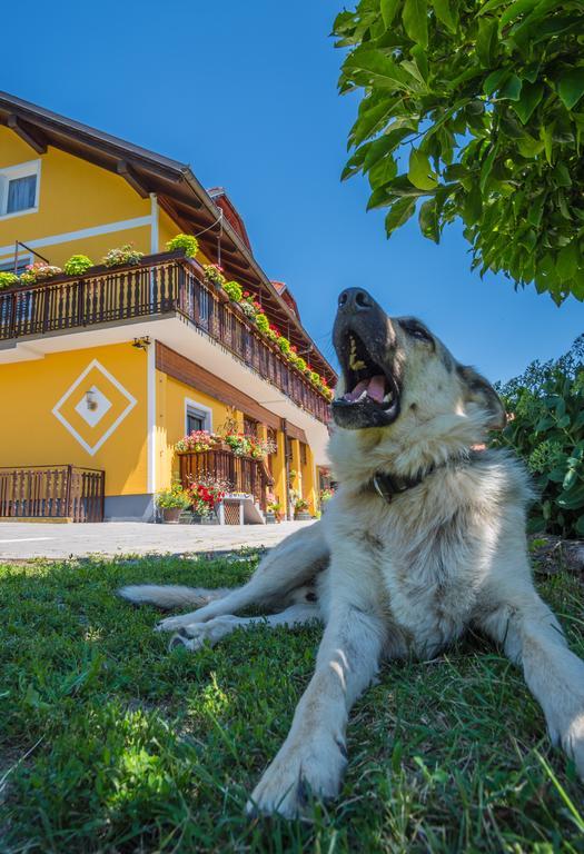 Panorama B&B 프루이 외부 사진